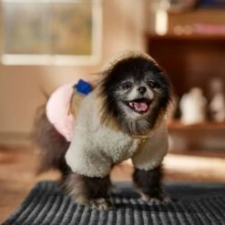 Frisco Colorblock Fleece Dog & Cat Hoodie W/ Pocket 18 Frisco Colorblock Fleece Dog & Cat Hoodie W/ Pocket -Chewy 718278 PT7. AC SS1800 V1692375977