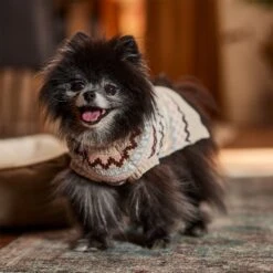 Frisco Sherpa Lined Fairisle Dog & Cat Sweater 16 Frisco Sherpa Lined Fairisle Dog & Cat Sweater -Chewy 718422 PT7. AC SS1800 V1692378098