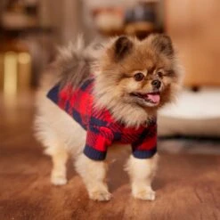 Frisco Fleece Lined Buffalo Plaid Mock Neck Dog & Cat Sweater 18 Frisco Fleece Lined Buffalo Plaid Mock Neck Dog & Cat Sweater -Chewy 718470 PT7. AC SS1800 V1692378099