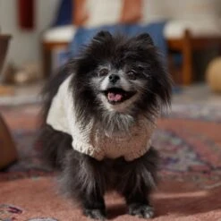 Frisco Sherpa Lined Chunky Cable Knit Dog & Cat Sweater 16 Frisco Sherpa Lined Chunky Cable Knit Dog & Cat Sweater -Chewy 718518 PT7. AC SS1800 V1692378338