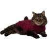 Frisco Cozy Textured Chenille Dog & Cat Sweater 1 Frisco Cozy Textured Chenille Dog & Cat Sweater -Chewy 718614 MAIN. AC SS1800 V1692380456