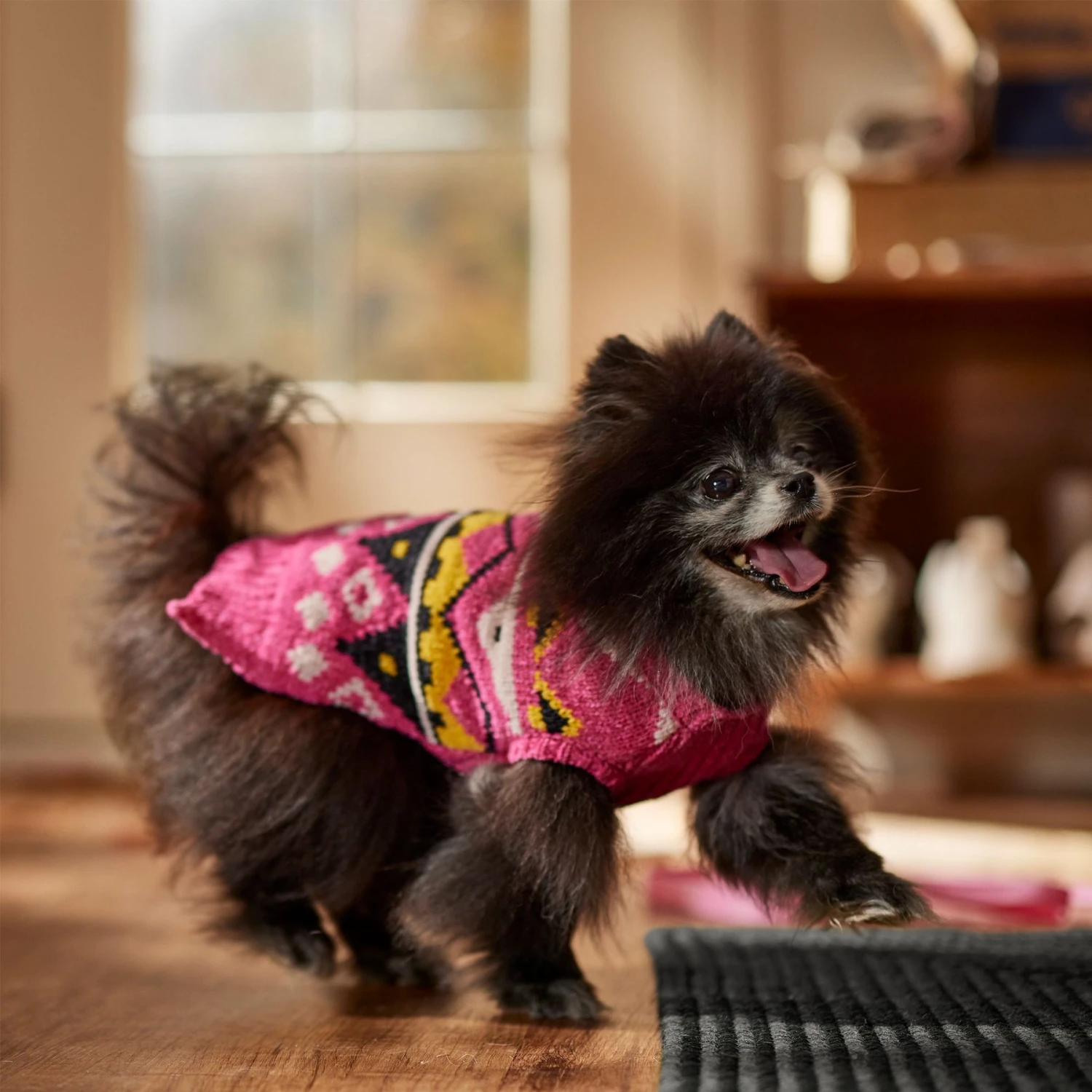 Frisco Bold Nordic V-Neck Dog & Cat Sweater 9 Frisco Bold Nordic V-Neck Dog & Cat Sweater - Image 7