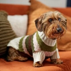 Frisco Bubble Knit Multi Striped Mock Neck Dog & Cat Sweater 16 Frisco Bubble Knit Multi Striped Mock Neck Dog & Cat Sweater -Chewy 718854 PT7. AC SS1800 V1692378688