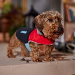 Frisco Medium Weight Retro Colorblock Mixed Media Dog & Cat Coat 18 Frisco Medium Weight Retro Colorblock Mixed Media Dog & Cat Coat -Chewy 719462 PT7. AC SS1800 V1692379031