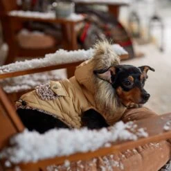 Frisco Heavy Weight Matte Quilted Dog & Cat Parka With Cozy Fleece Lining 18 Frisco Heavy Weight Matte Quilted Dog & Cat Parka With Cozy Fleece Lining -Chewy 719654 PT7. AC SS1800 V1692376037