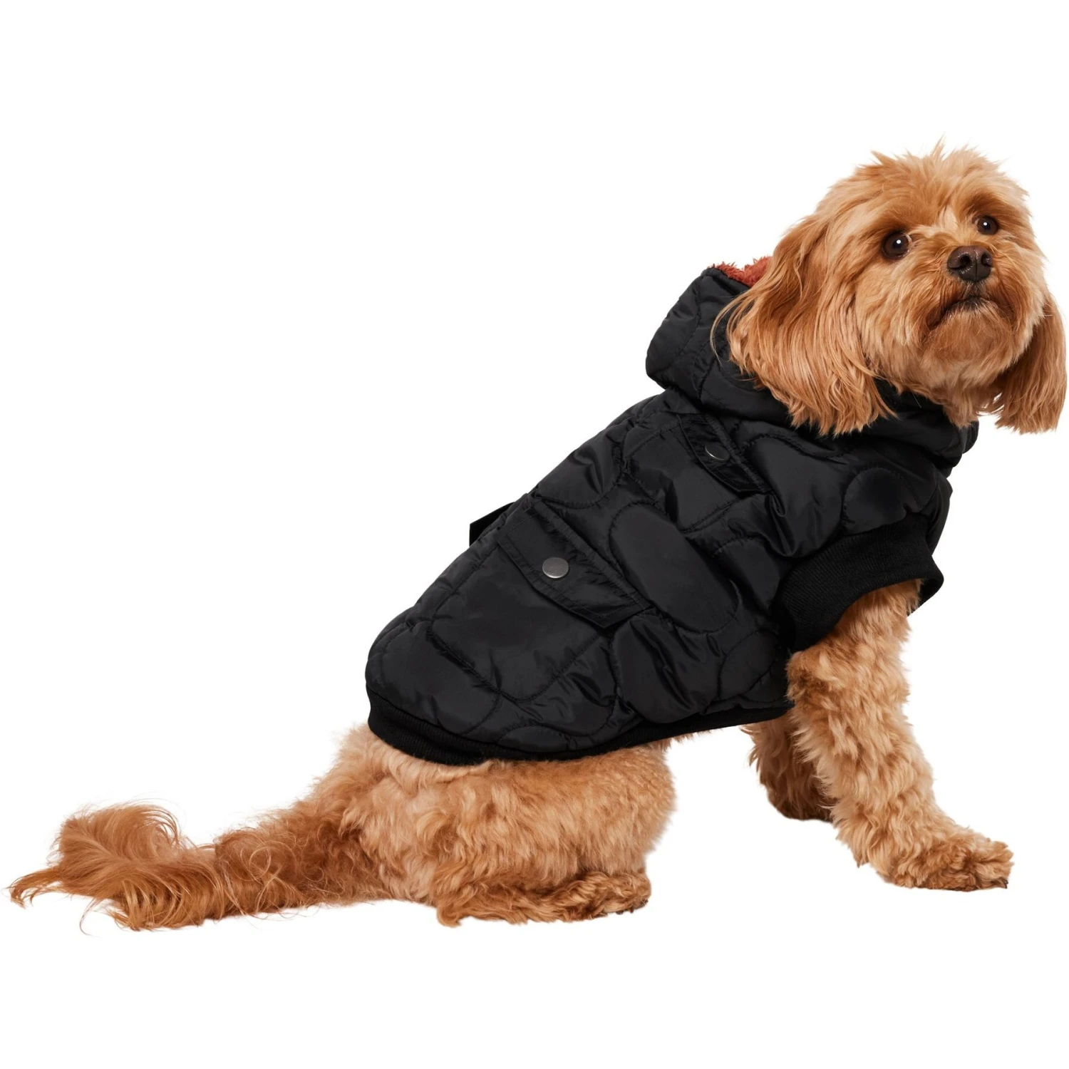 Frisco Heavy Weight Matte Quilted Volume Dog & Cat Puffer 5 Frisco Heavy Weight Matte Quilted Volume Dog & Cat Puffer - Image 3