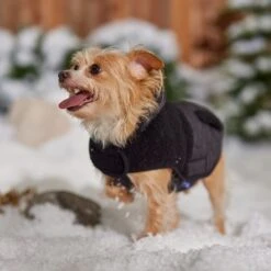 Frisco Heavy Weight Dog & Cat Quilted Hybrid Coat With Sherpa Lining -Chewy 719918 PT7. AC SS1800 V1692376306