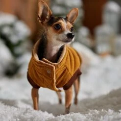 Frisco Heavy Weight Lux Corduroy Insulated Dog & Cat Coat With Fur Trimmed Hood 18 Frisco Heavy Weight Lux Corduroy Insulated Dog & Cat Coat With Fur Trimmed Hood -Chewy 719966 PT7. AC SS1800 V1692377819