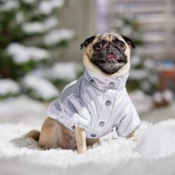 Frisco Heavy Weight Iridescent Quilted Dog & Cat Hooded Puffer Coat 18 Frisco Heavy Weight Iridescent Quilted Dog & Cat Hooded Puffer Coat -Chewy 720038 PT7. AC SS1800 V1692377880