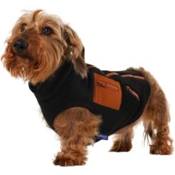 Frisco Light Weight Leopard Print Lined Fleece Dog & Cat Vest 12 Frisco Light Weight Leopard Print Lined Fleece Dog & Cat Vest -Chewy 720694 PT2. AC SS1800 V1703194382