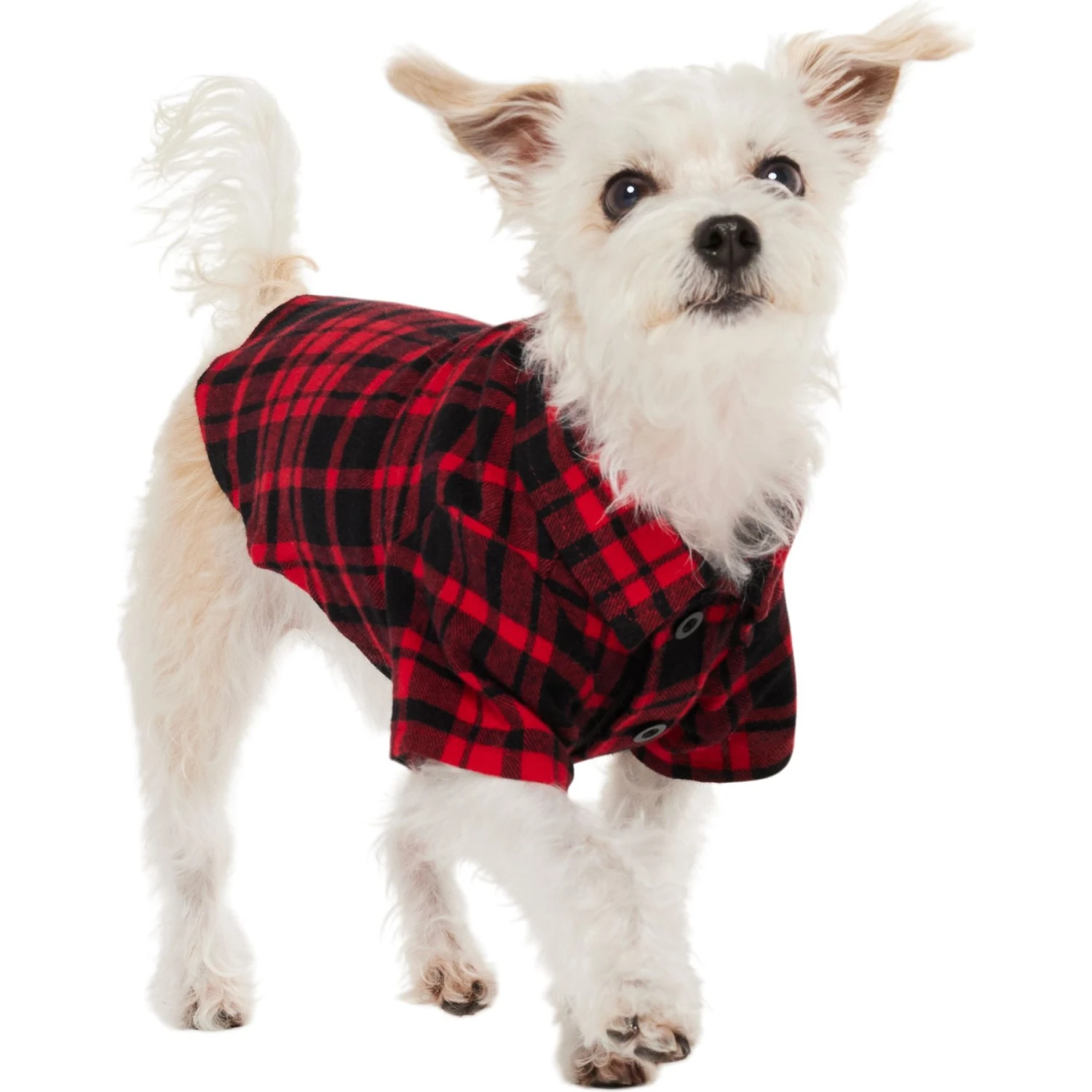 Frisco Red Tartan Plaid Dog & Cat Flannel Shirt 5 Frisco Red Tartan Plaid Dog & Cat Flannel Shirt - Image 3