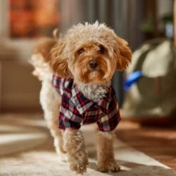 Frisco Red & Blue Plaid Dog & Cat Flannel Shirt 18 Frisco Red & Blue Plaid Dog & Cat Flannel Shirt -Chewy 720838 PT7. AC SS1800 V1693400998