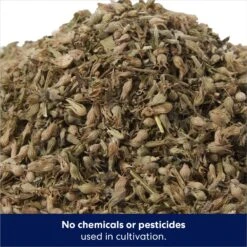 Frisco Natural Catnip & Hartz Just For Cats Mini Mice Cat Toy With Catnip, 5 Count 14 Frisco Natural Catnip & Hartz Just For Cats Mini Mice Cat Toy With Catnip, 5 Count -Chewy 737478 PT3. AC SS1800 V1683212198