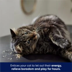 Frisco Natural Catnip & Hartz Just For Cats Mini Mice Cat Toy With Catnip, 5 Count 15 Frisco Natural Catnip & Hartz Just For Cats Mini Mice Cat Toy With Catnip, 5 Count -Chewy 737478 PT4. AC SS1800 V1683212204