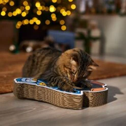 Frisco Holiday Penguin Interactive Maze & Scratch Cardboard Cat Toy With Catnip 8 Frisco Holiday Penguin Interactive Maze & Scratch Cardboard Cat Toy With Catnip -Chewy 739766 PT4. AC SS1800 V1695046873