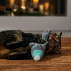 Frisco Holiday Interactive Flopping Seal Electronic Cat Toy With Catnip 12 Frisco Holiday Interactive Flopping Seal Electronic Cat Toy With Catnip -Chewy 740102 PT4. AC SS1800 V1695043876