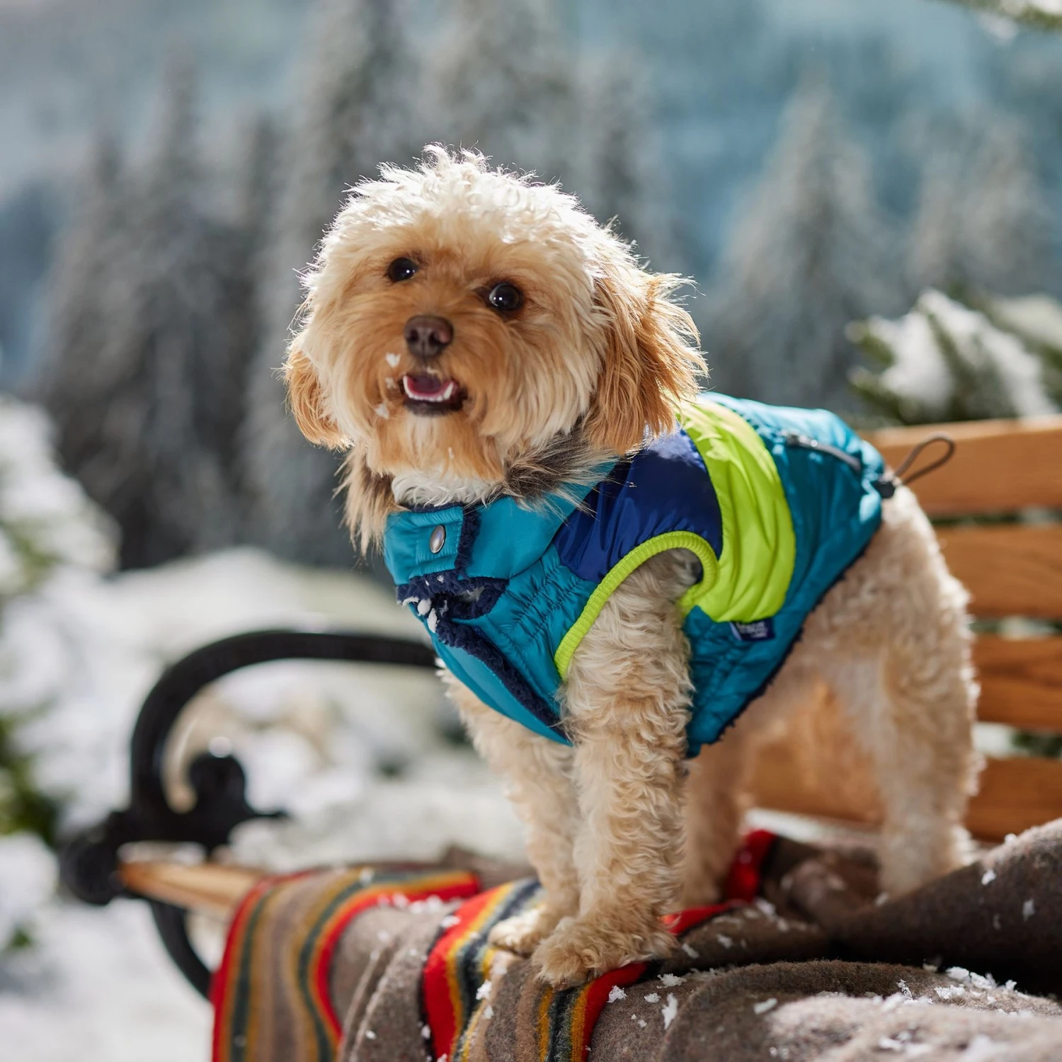 Frisco Heavy Weight Urban City Colorblock Dog & Cat Parka With Sherpa Lining 9 Frisco Heavy Weight Urban City Colorblock Dog & Cat Parka With Sherpa Lining - Image 7