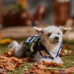 Frisco Medium Weight Urban City Camo Printed Dog & Cat Hooded Coat 18 Frisco Medium Weight Urban City Camo Printed Dog & Cat Hooded Coat -Chewy 742358 PT7. AC SS1800 V1692376368