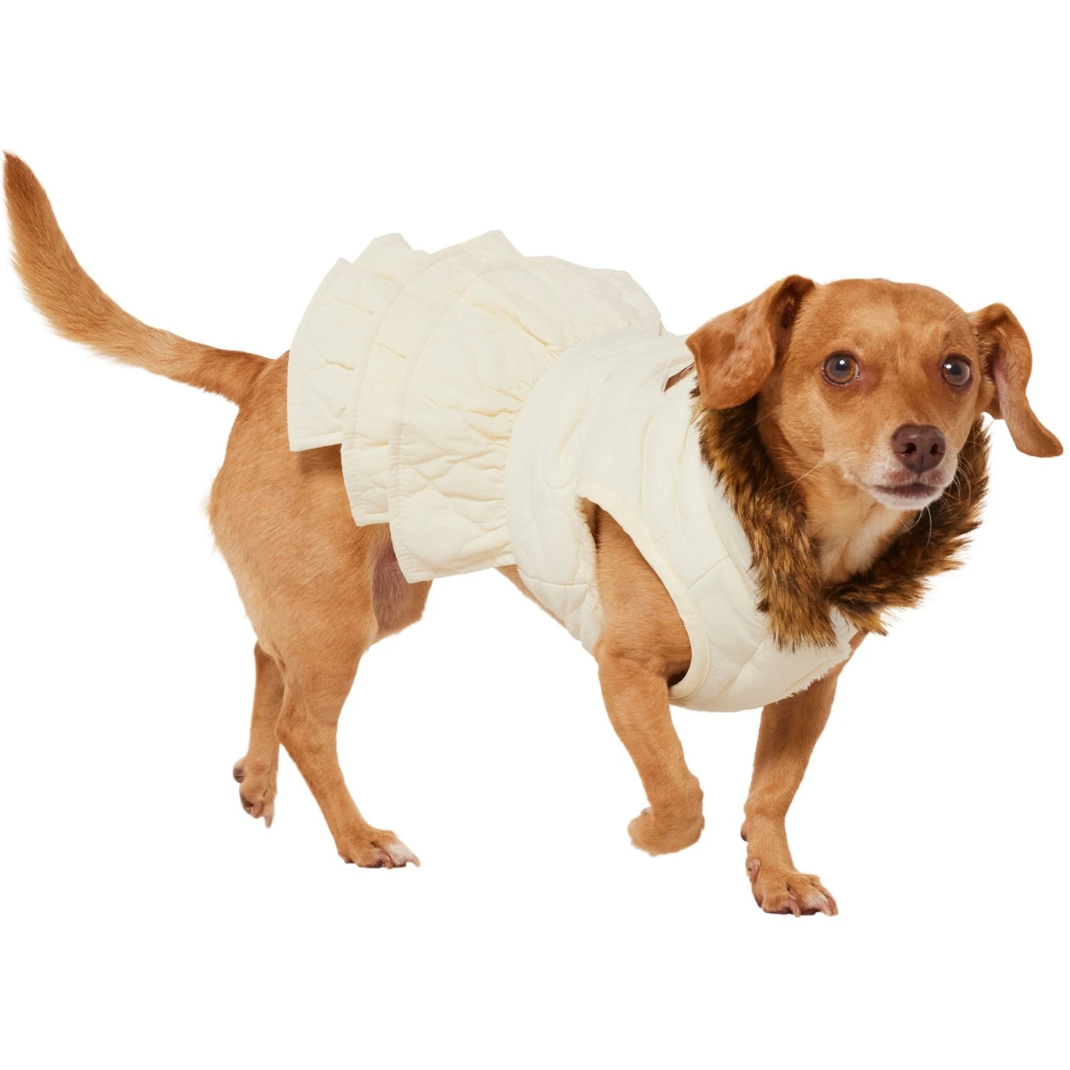 Frisco Medium Weight Quilted Ruffle Tiered Dog & Cat Dress 5 Frisco Medium Weight Quilted Ruffle Tiered Dog & Cat Dress - Image 3