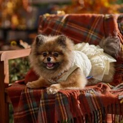 Frisco Medium Weight Quilted Ruffle Tiered Dog & Cat Dress 18 Frisco Medium Weight Quilted Ruffle Tiered Dog & Cat Dress -Chewy 744262 PT7. AC SS1800 V1693401666