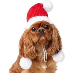 Frisco Chunky Knit Santa Dog & Cat Hat 11 Frisco Chunky Knit Santa Dog & Cat Hat -Chewy 744878 PT2. AC SS1800 V1694812755
