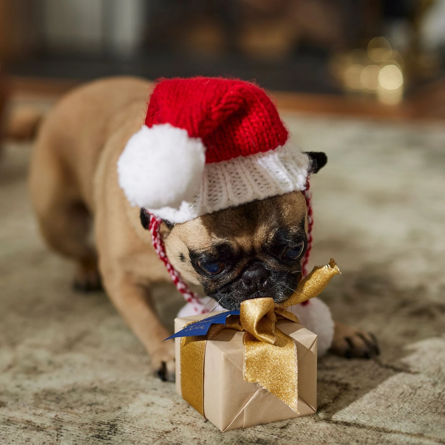 Frisco Chunky Knit Santa Dog & Cat Hat 8 Frisco Chunky Knit Santa Dog & Cat Hat - Image 6
