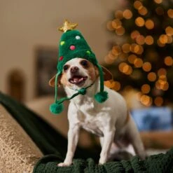 Frisco Christmas Tree Faux Fur Dog & Cat Hat 14 Frisco Christmas Tree Faux Fur Dog & Cat Hat -Chewy 745582 PT5. AC SS1800 V1694793444