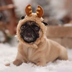 Frisco Sherpa Reindeer Dog & Cat Hat With Bells 14 Frisco Sherpa Reindeer Dog & Cat Hat With Bells -Chewy 745646 PT5. AC SS1800 V1694795597