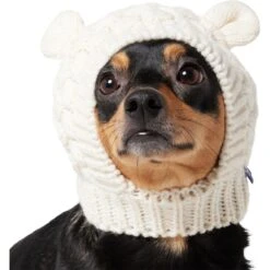 Frisco Polar Bear Sweater Knit Dog & Cat Hat 11 Frisco Polar Bear Sweater Knit Dog & Cat Hat -Chewy 745742 PT2. AC SS1800 V1694793756