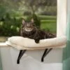 Frisco Plush Cat Window Perch With Removeable Bolster 1 Frisco Plush Cat Window Perch With Removeable Bolster -Chewy 804630 MAIN. AC SS1800 V1695933061