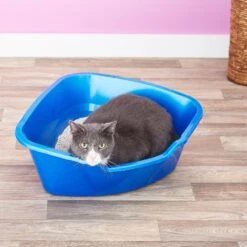 Frisco Collapsible Wire Cat Cage Playpen & Van Ness High Side Corner Cat Litter Pan, Blue 19 Frisco Collapsible Wire Cat Cage Playpen & Van Ness High Side Corner Cat Litter Pan, Blue -Chewy 933382 PT8. AC SS1800 V1692305264