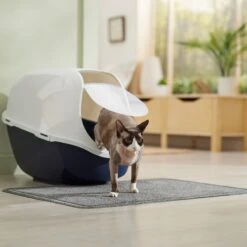 Frisco High Sided Cat Litter Box, Extra Large & Frisco Rectangular Cat Litter Mat 19 Frisco High Sided Cat Litter Box, Extra Large & Frisco Rectangular Cat Litter Mat -Chewy 933398 PT8. AC SS1800 V1692303236