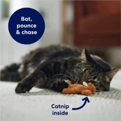 Frisco Squirrel Plush Cat Toy With Refillable Catnip & Frisco Bird With Feathers Teaser Wand Cat Toy With Catnip 14 Frisco Squirrel Plush Cat Toy With Refillable Catnip & Frisco Bird With Feathers Teaser Wand Cat Toy With Catnip -Chewy 962030 PT3. AC SS1800 V1694783954