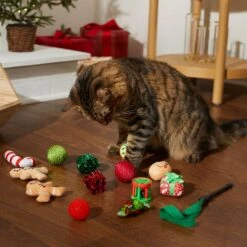 Frisco Holiday Festive Red Variety Pack Gift Box Cat Toy With Catnip, 14 Count & Frisco Holiday Mice Cat Toy With Catnip, 5 Count -Chewy 986270 PT4. AC SS1800 V1698258464
