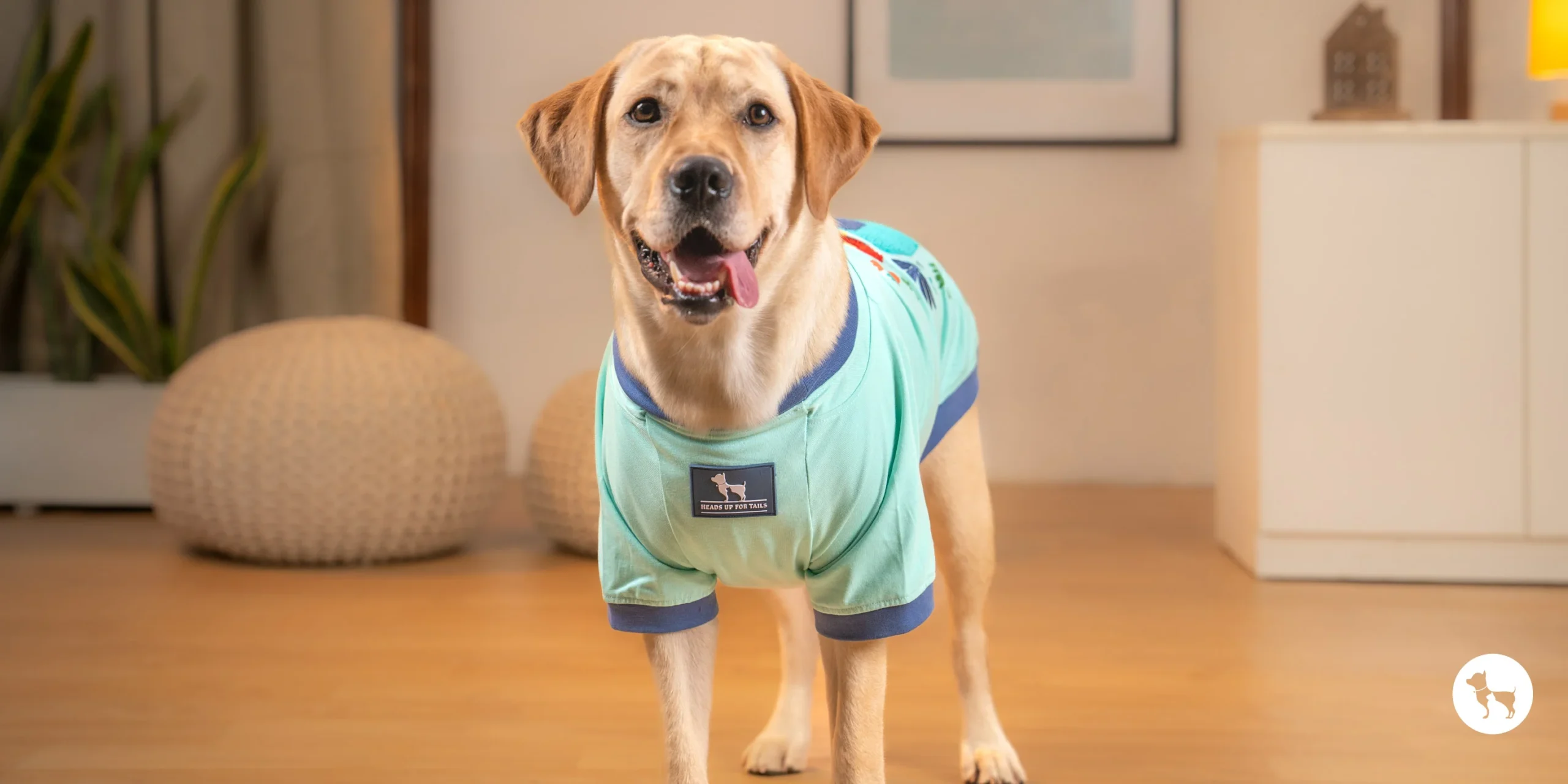 Front Page -Chewy Summer scaled